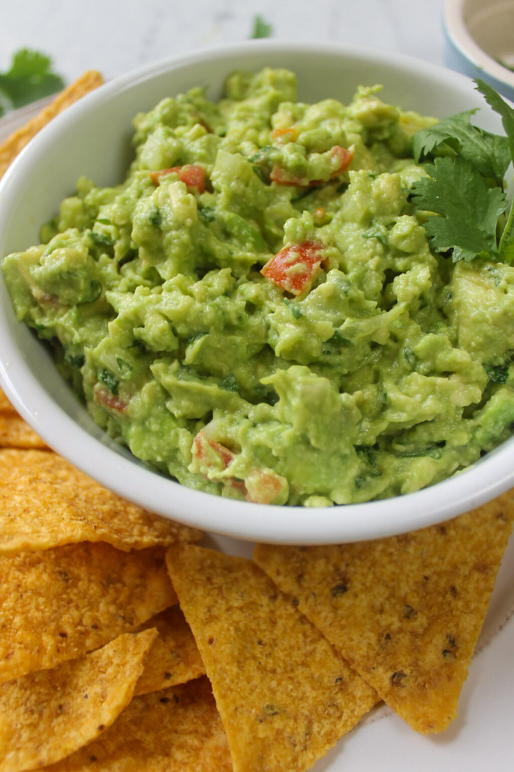 Guacamole - Sungrown Kitchen