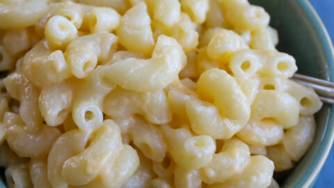 Shops macaroni cheese for 6 month baby