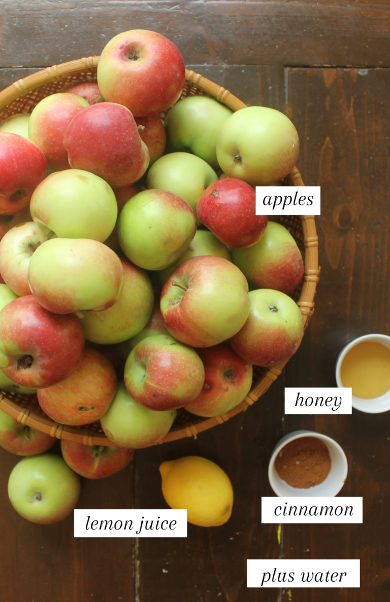 Easy NoPeel Applesauce for the Freezer Sungrown Kitchen