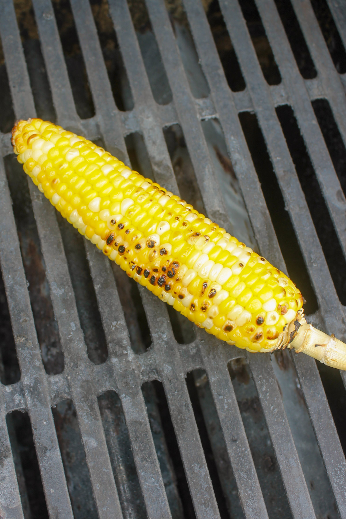 Grilling corn on the cob.
