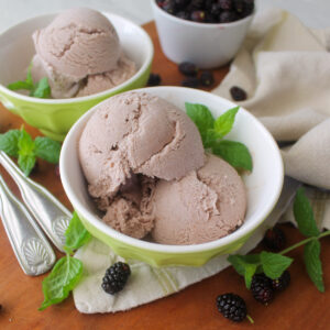 Two bowls of homemade mulberry ice cream.
