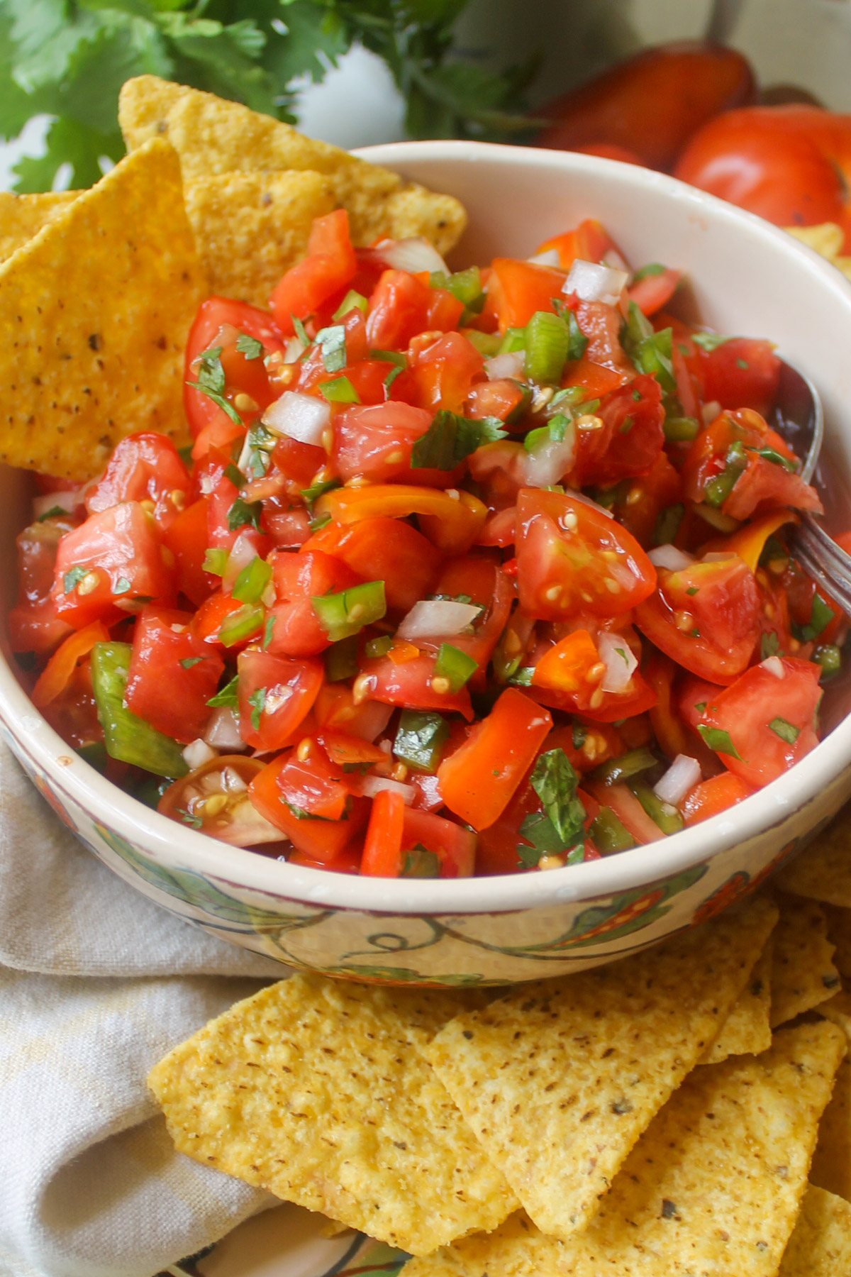 Garden tomato salsa in a bowl with tortilla chips.