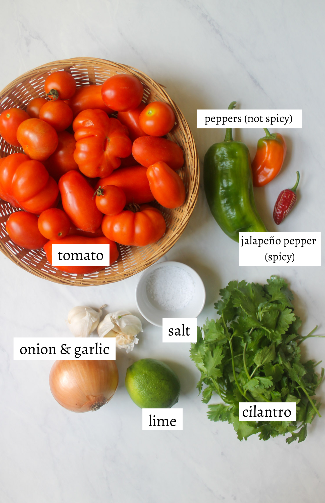 Labeled ingredients for Garden Fresh Salsa.