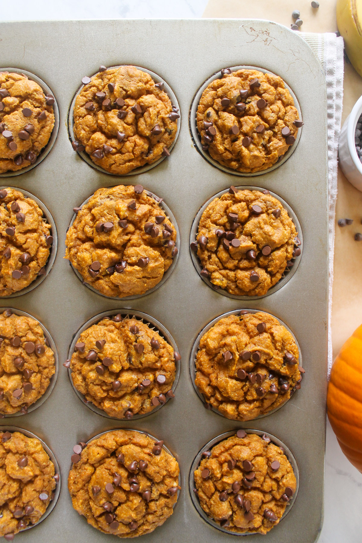 A muffin tin of baked pumpkin muffins with chocolate chip topping.