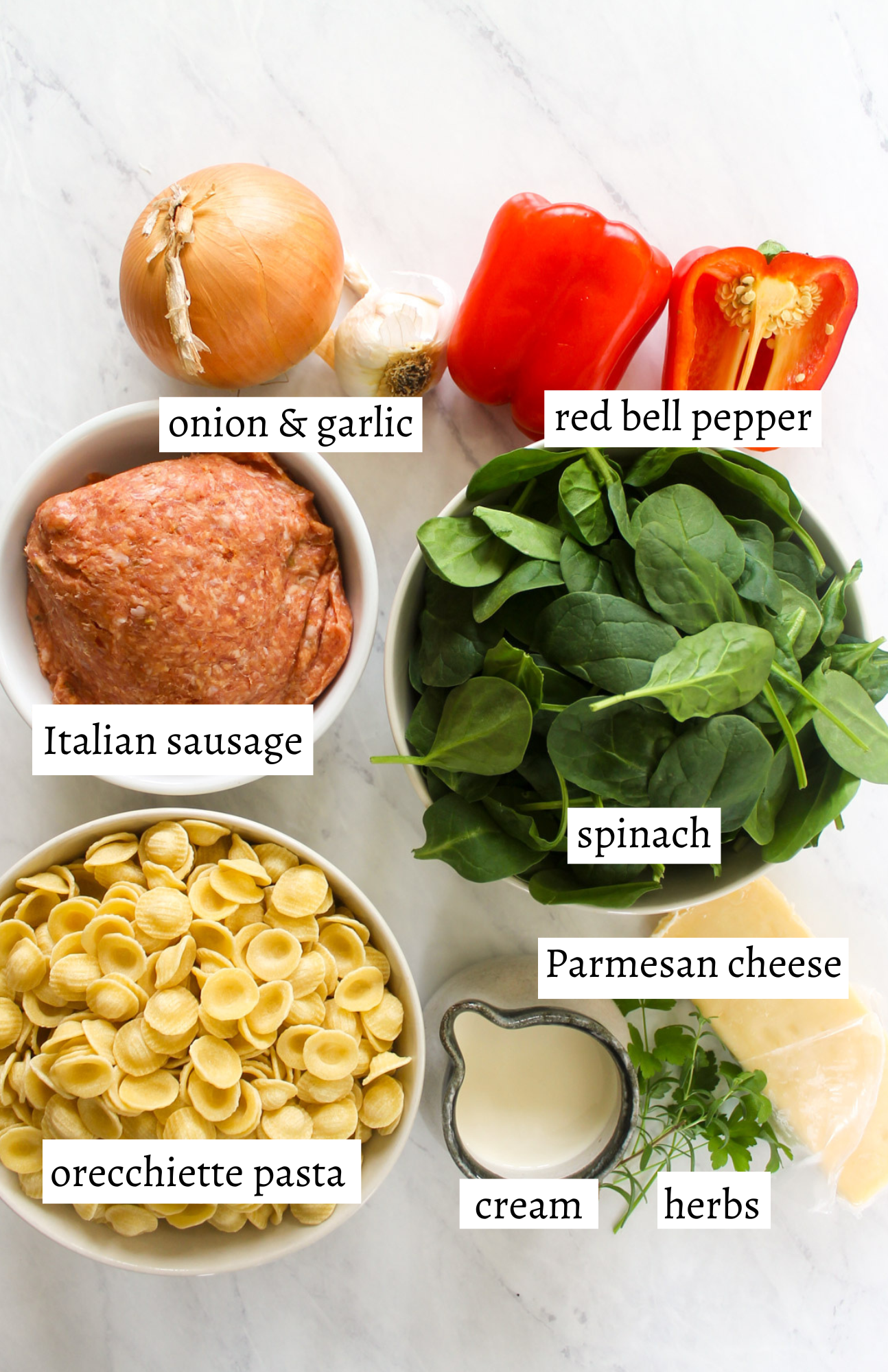 Labeled ingredients for Sausage Orecchiette.